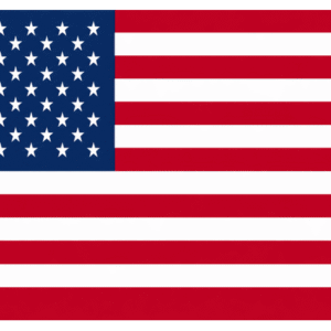 United States đēđ¸ (Copy)