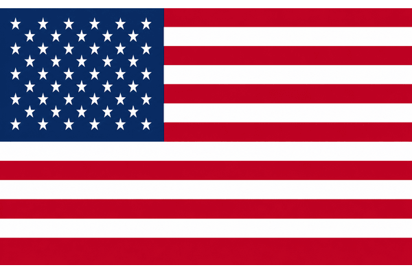 United States 🇺🇸